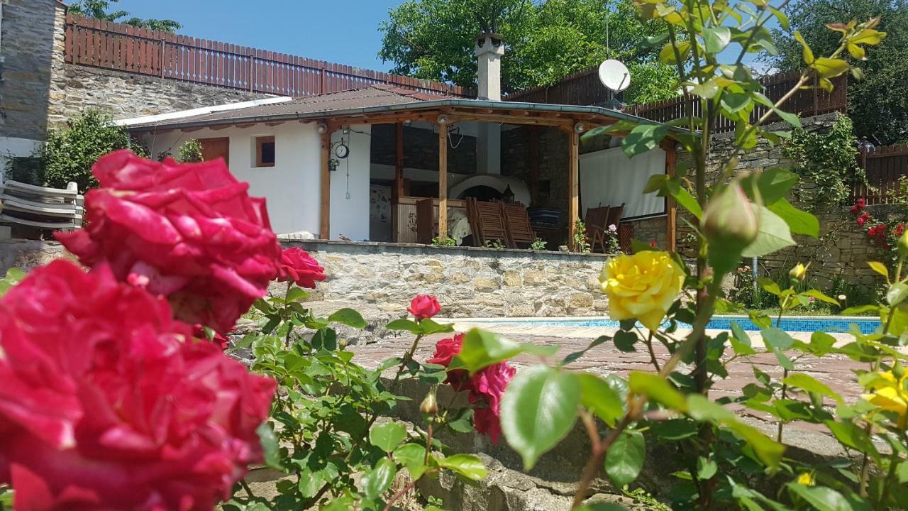 Rosarium Residence Guest House Drjanovo Exteriér fotografie